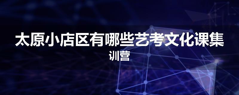太原小店区有哪些艺考文化课集训营