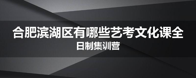 合肥滨湖区有哪些艺考文化课全日制集训营