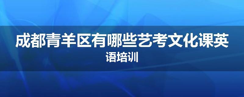 成都青羊区有哪些艺考文化课英语培训