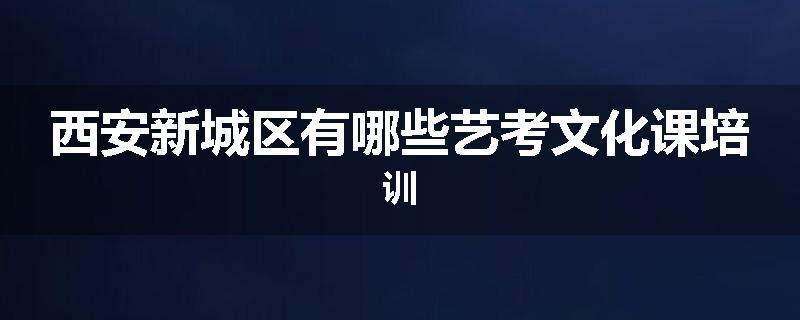 西安新城区有哪些艺考文化课培训