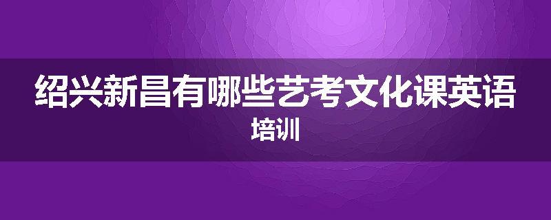 绍兴新昌有哪些艺考文化课英语培训