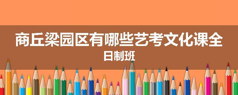 商丘梁园区有哪些艺考文化课全日制班