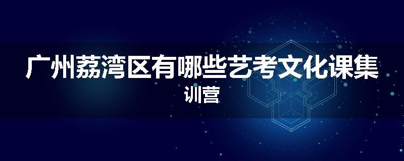 广州荔湾区有哪些艺考文化课集训营