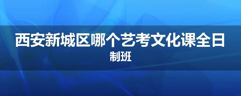 西安新城区哪个艺考文化课全日制班