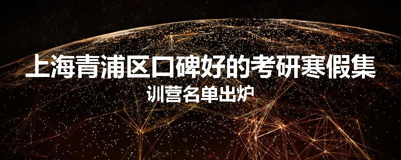 上海青浦区口碑好的考研寒假集训营名单出炉