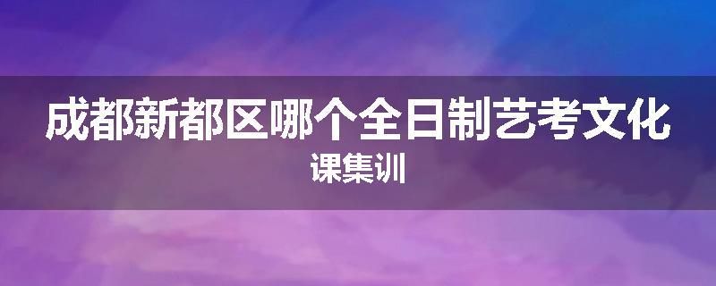 成都新都区哪个全日制艺考文化课集训