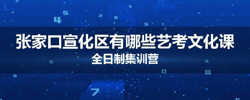 张家口宣化区有哪些艺考文化课全日制集训营