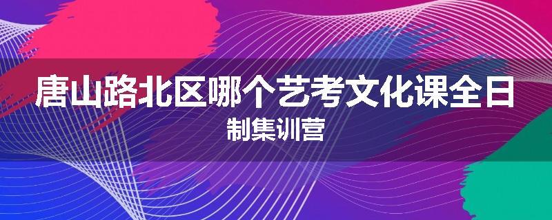 唐山路北区哪个艺考文化课全日制集训营