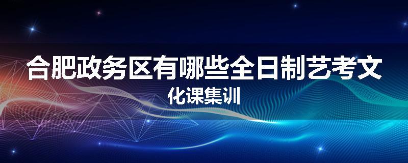合肥政务区有哪些全日制艺考文化课集训