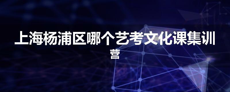 上海杨浦区哪个艺考文化课集训营