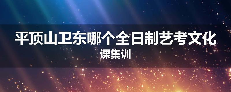 平顶山卫东哪个全日制艺考文化课集训