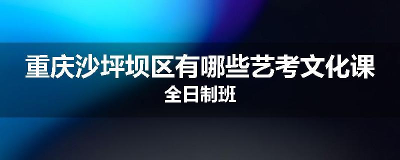 重庆沙坪坝区有哪些艺考文化课全日制班
