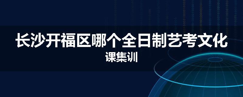 长沙开福区哪个全日制艺考文化课集训