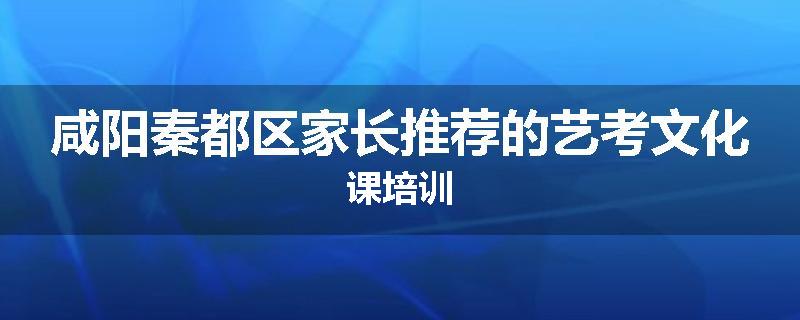 咸阳秦都区家长推荐的艺考文化课培训