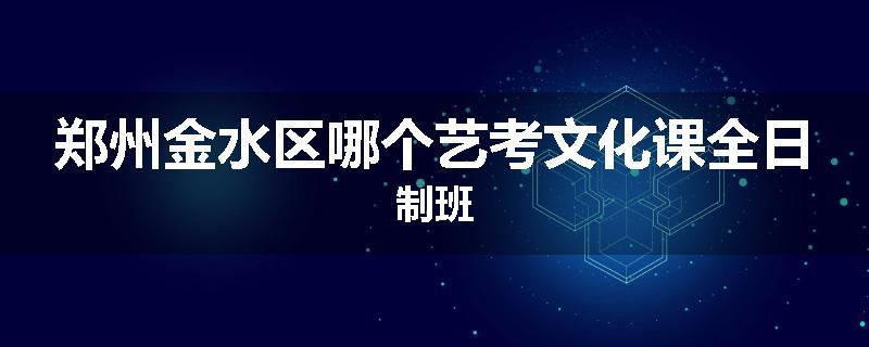 郑州金水区哪个艺考文化课全日制班