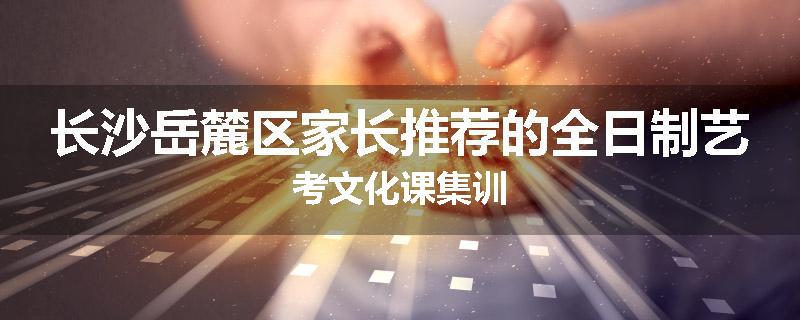 长沙岳麓区家长推荐的全日制艺考文化课集训