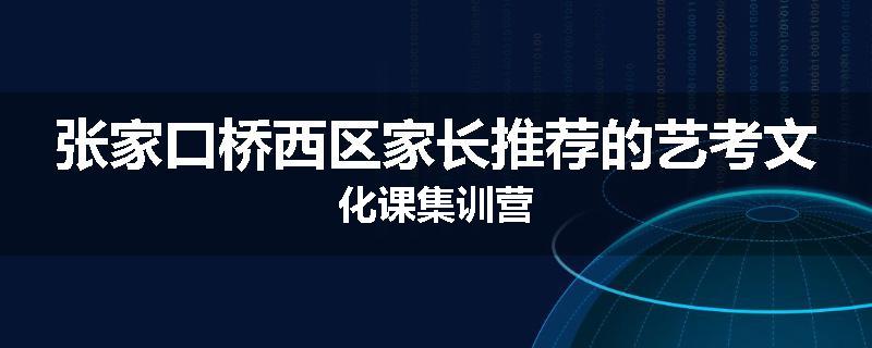 张家口桥西区家长推荐的艺考文化课集训营