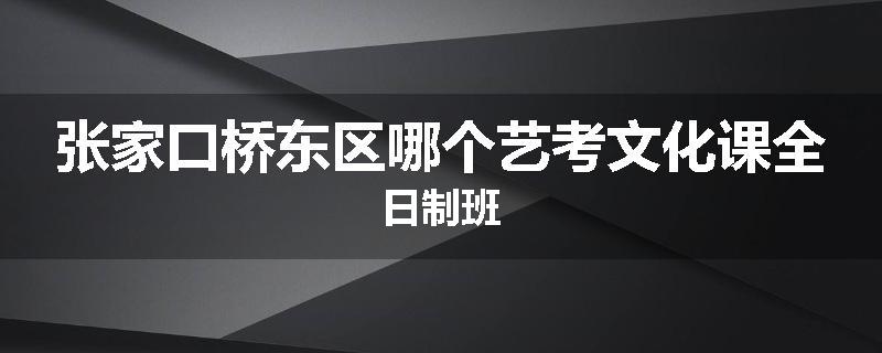 张家口桥东区哪个艺考文化课全日制班