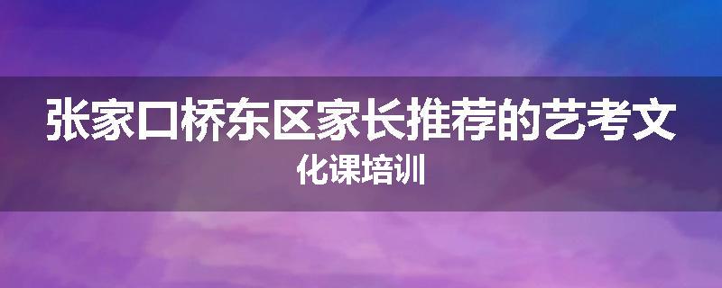 张家口桥东区家长推荐的艺考文化课培训
