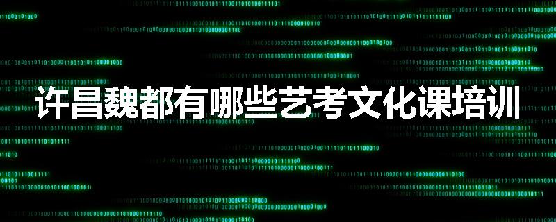 许昌魏都有哪些艺考文化课培训