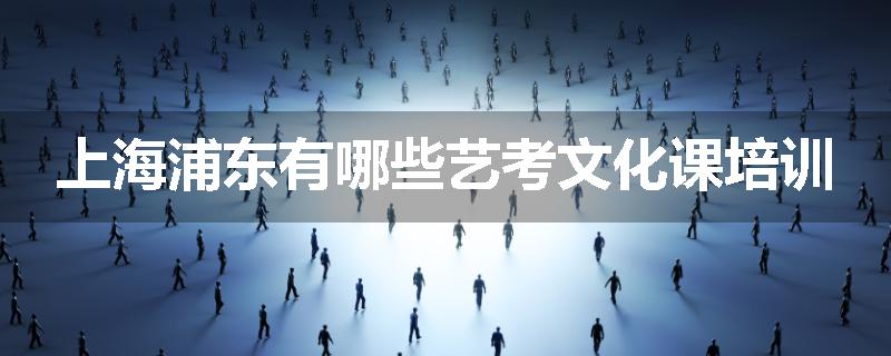 上海浦东有哪些艺考文化课培训