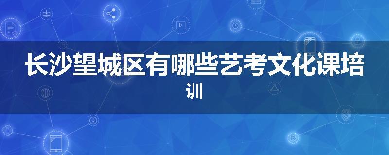 长沙望城区有哪些艺考文化课培训