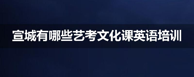 宣城有哪些艺考文化课英语培训