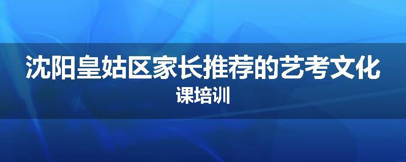 沈阳皇姑区家长推荐的艺考文化课培训