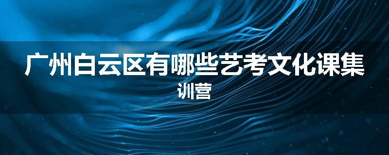 广州白云区有哪些艺考文化课集训营