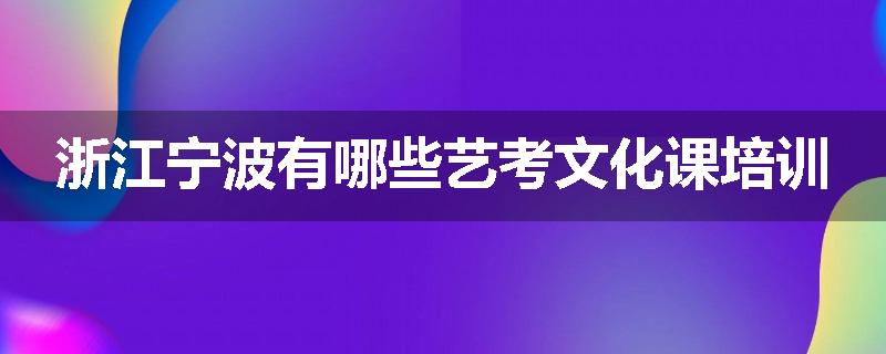 浙江宁波有哪些艺考文化课培训