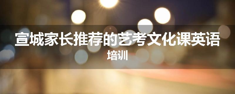宣城家长推荐的艺考文化课英语培训