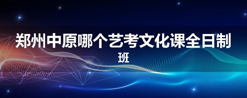 郑州中原哪个艺考文化课全日制班