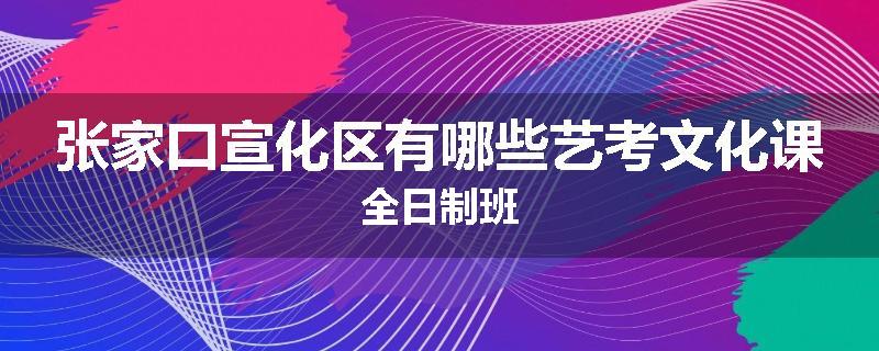 张家口宣化区有哪些艺考文化课全日制班