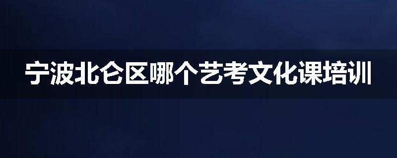 宁波北仑区哪个艺考文化课培训