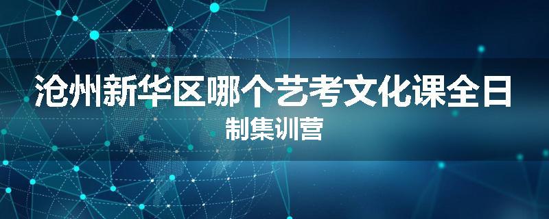 沧州新华区哪个艺考文化课全日制集训营