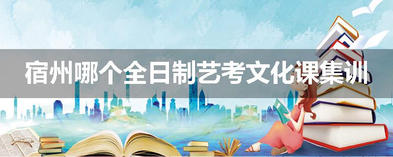 宿州哪个全日制艺考文化课集训