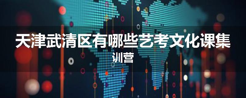 天津武清区有哪些艺考文化课集训营