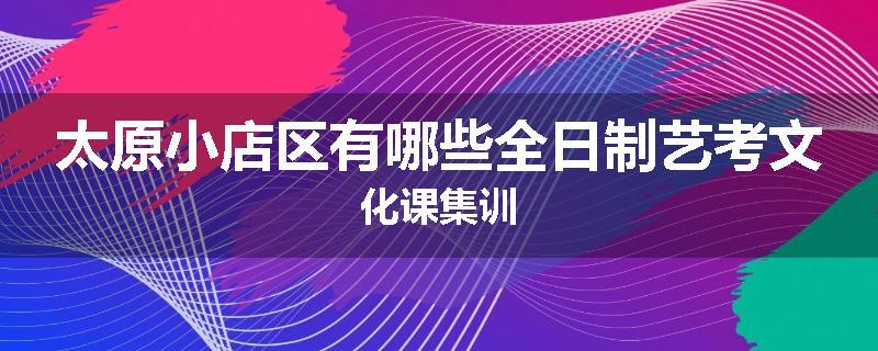 太原小店区有哪些全日制艺考文化课集训