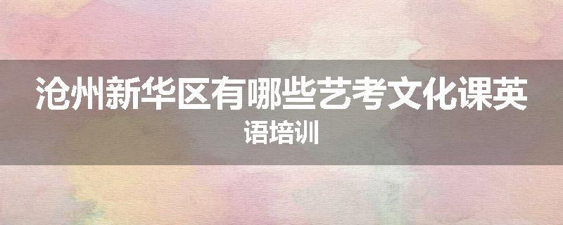 沧州新华区有哪些艺考文化课英语培训