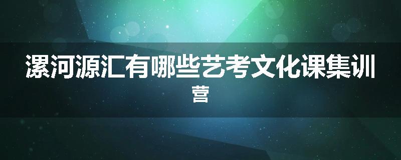 漯河源汇有哪些艺考文化课集训营