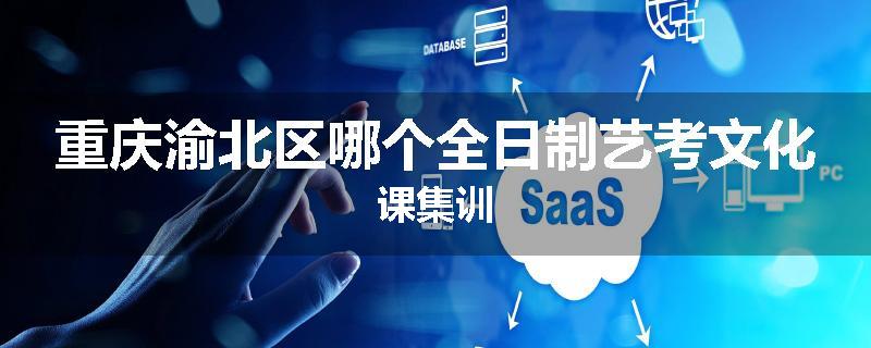 重庆渝北区哪个全日制艺考文化课集训
