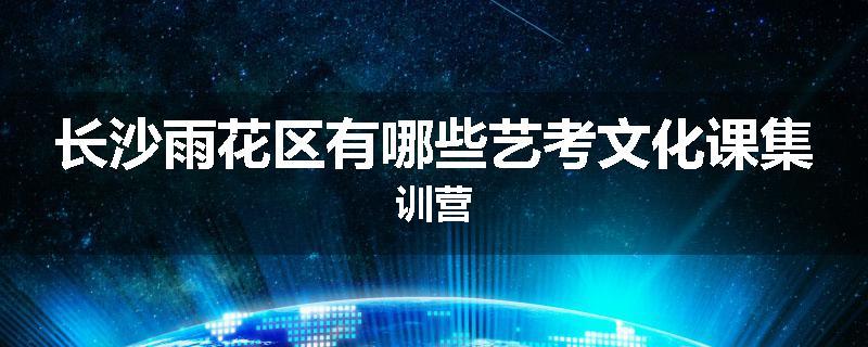 长沙雨花区有哪些艺考文化课集训营