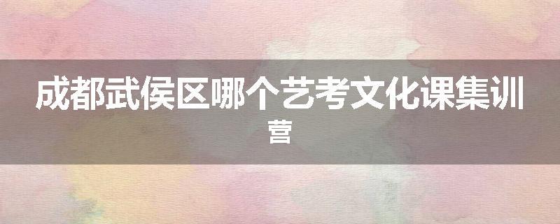成都武侯区哪个艺考文化课集训营