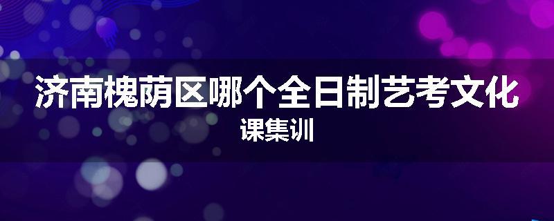 济南槐荫区哪个全日制艺考文化课集训