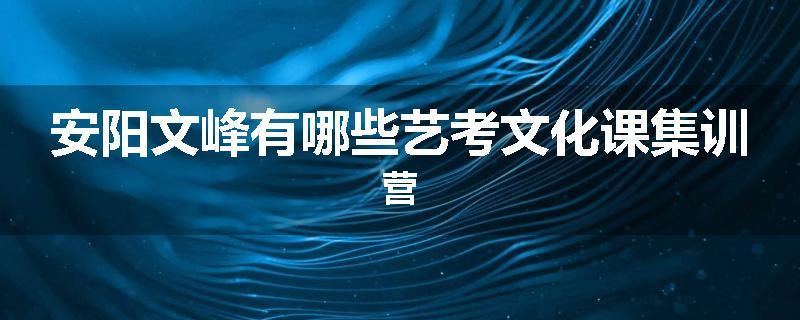 安阳文峰有哪些艺考文化课集训营