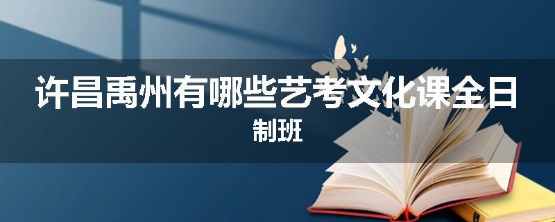 许昌禹州有哪些艺考文化课全日制班