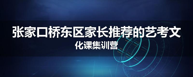 张家口桥东区家长推荐的艺考文化课集训营
