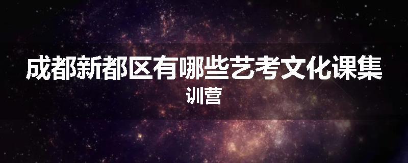 成都新都区有哪些艺考文化课集训营
