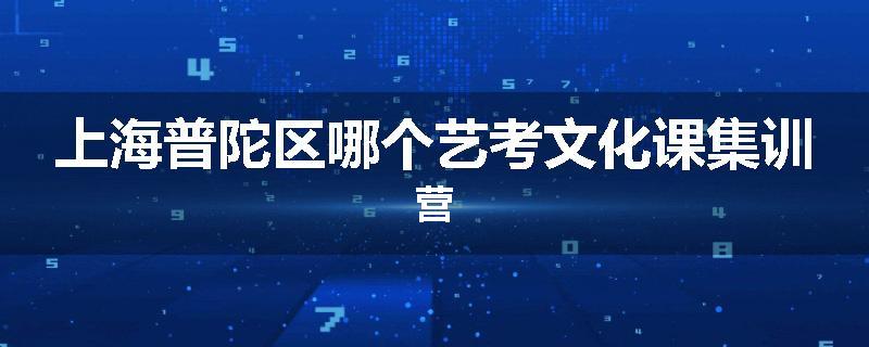 上海普陀区哪个艺考文化课集训营