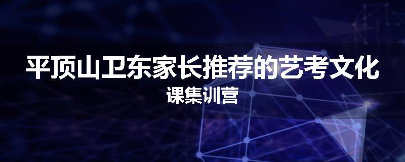 平顶山卫东家长推荐的艺考文化课集训营